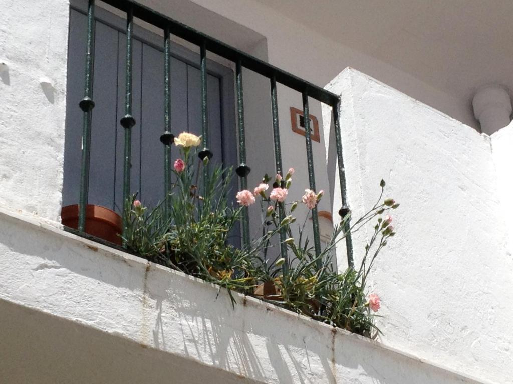 Apartamentos Casa La Costanilla Vejer de la Frontera Room photo